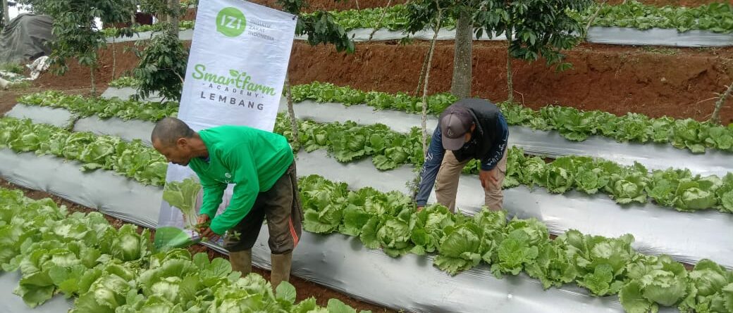 Petani Lembang Smartfram Academi