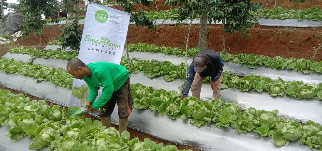 Petani Lembang Smartfram Academi